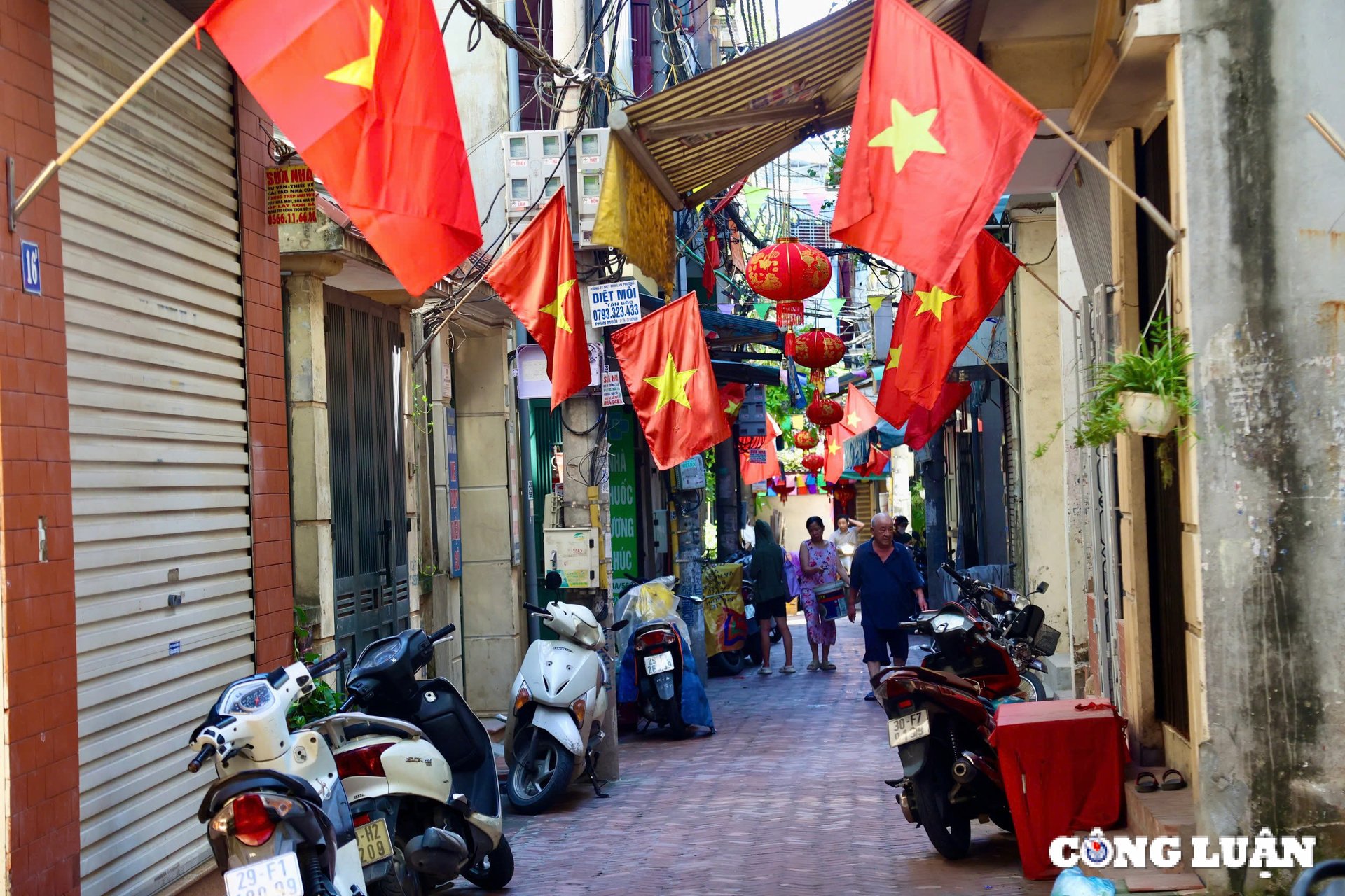 ruc ro co do sao vang truoc cong lang ha noi hinh 4