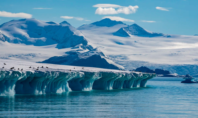 Fjord Larsen dans la mer de Weddell, Antarctique. Photo : Sergio Pitamitz//VWPics/AP