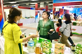 Quang Tri has 4 booths displaying and promoting the province's typical products at the Vietnam - Laos Trade Fair.