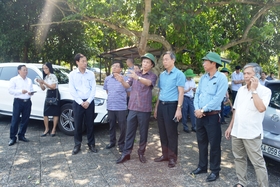 Inspection sur le terrain du plan d'organisation du 50e anniversaire de l'inauguration du siège du gouvernement révolutionnaire provisoire de la République du Sud-Vietnam