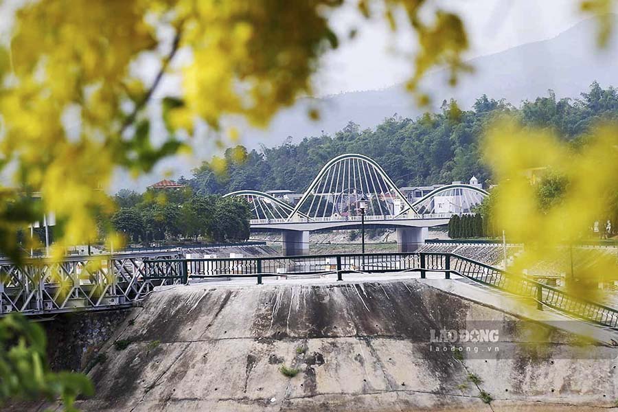Hoa muồng hoàng yến thường bắt đầu từ tháng 5 và kết thúc vào cuối tháng 7. Dọc 2 bờ sông Nậm Rốm là nơi được trồng tập trung rất nhiều loài hoa vàng rực rỡ này.