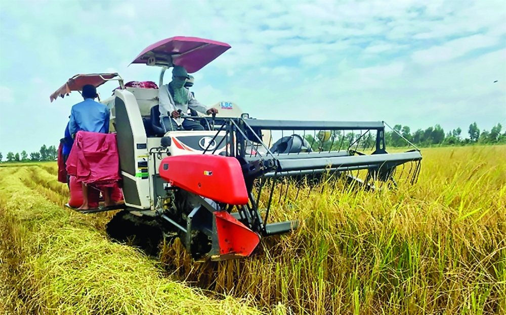 Grüne Kredite für die Landwirtschaft und den ländlichen Raum bieten viele Chancen zum Durchbruch