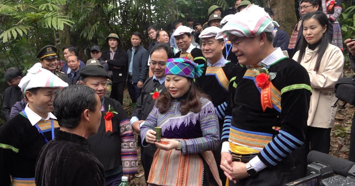 Forest Festival - a way to preserve forests in Yen Bai