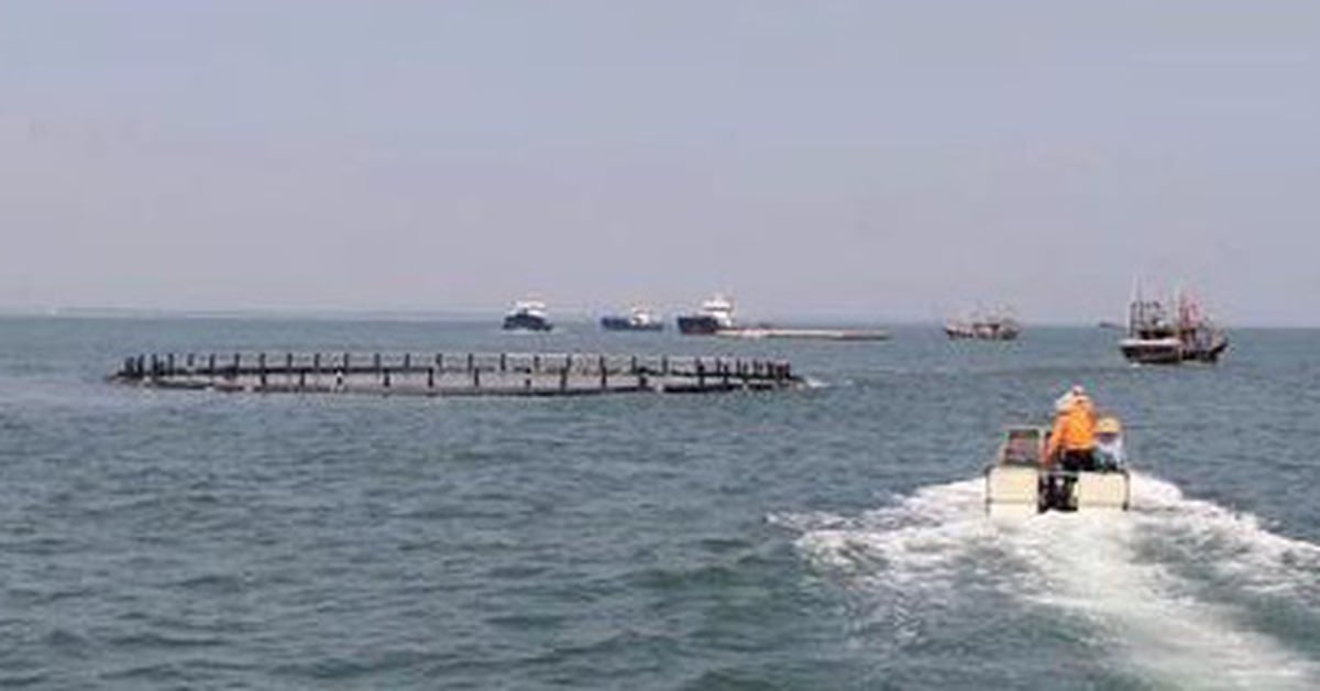 Infos du matin 13h10 : Remise à la Chine des cages d'aquaculture dérivant au Vietnam après la tempête n°3