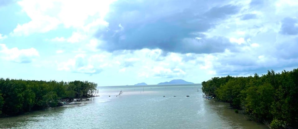 The road to the tip of Ca Mau Cape, mangrove trees stretch high across the road (Hoang Nam)