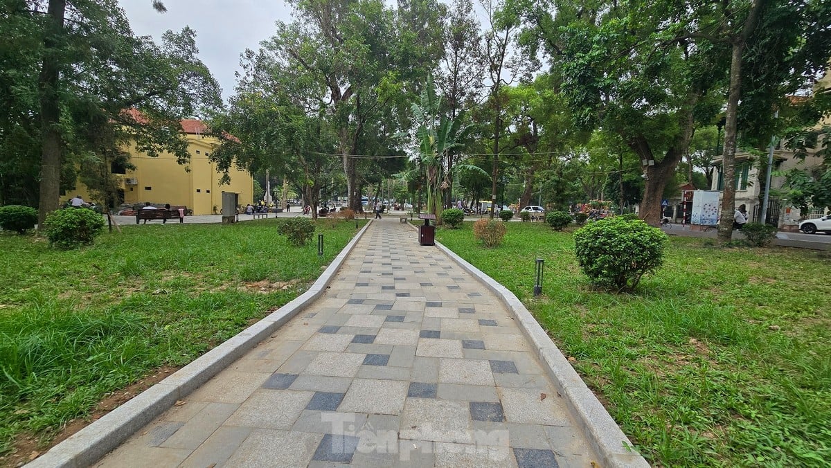 New look of Ly Tu Trong flower garden after 25 billion VND investment in renovation and beautification photo 15