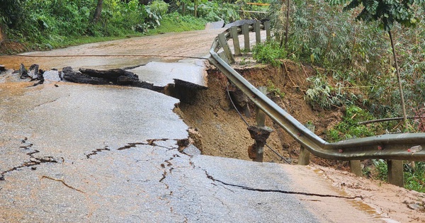 専門家が道路安全についてアドバイス