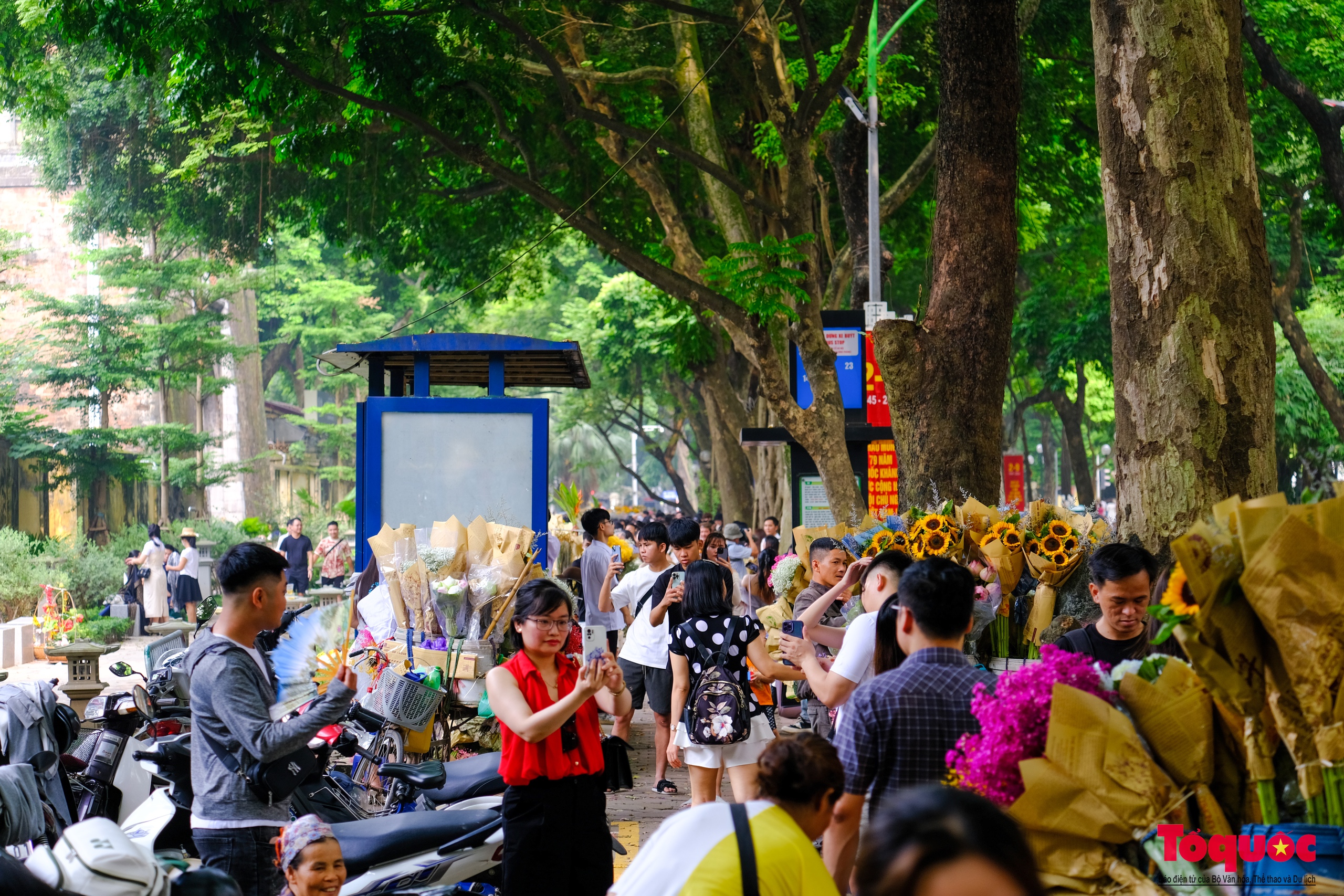 Hà Nội: Chấp nắng nóng các '"nàng thơ" nô nức chen chân check- in phố mùa thu Phan Đình Phùng - Ảnh 8.