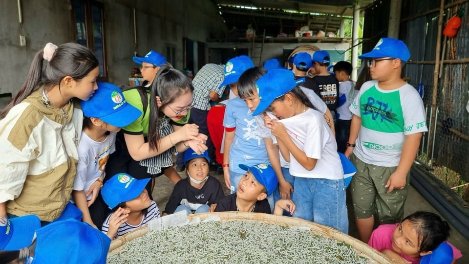 Students learn about mulberry cultivation and silkworm raising.