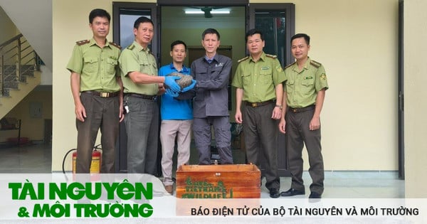 Vườn quốc gia Cúc Phương cứu hộ thành công 2 cá thể tê tê