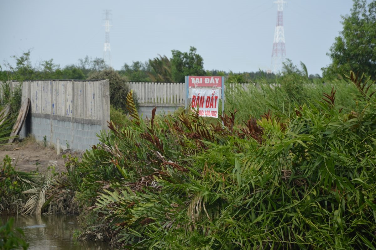 dsc_0072.jpg