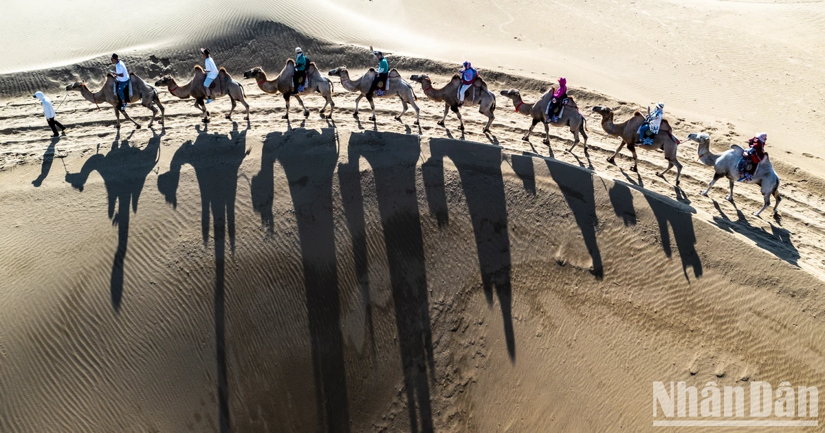 [Photo] Désert d'Echo - Beauté mystérieuse en Mongolie intérieure