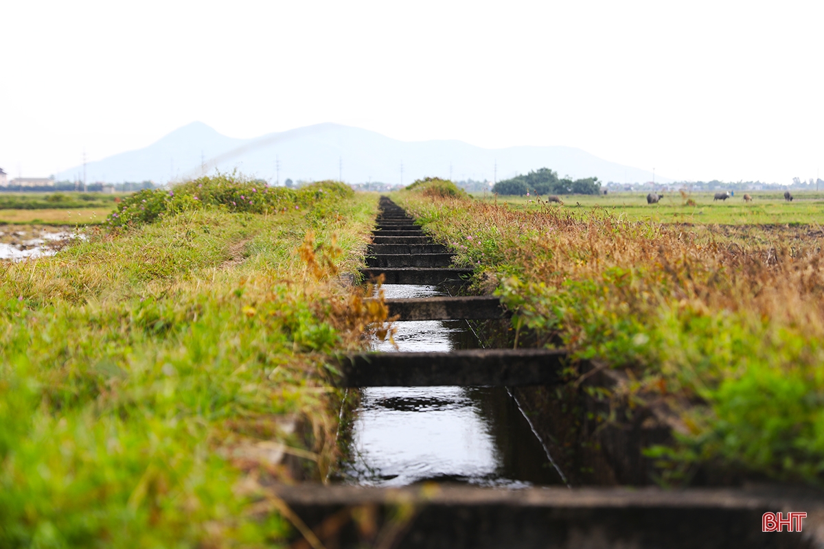 Ha Tinh farmers race against summer-autumn planting schedule