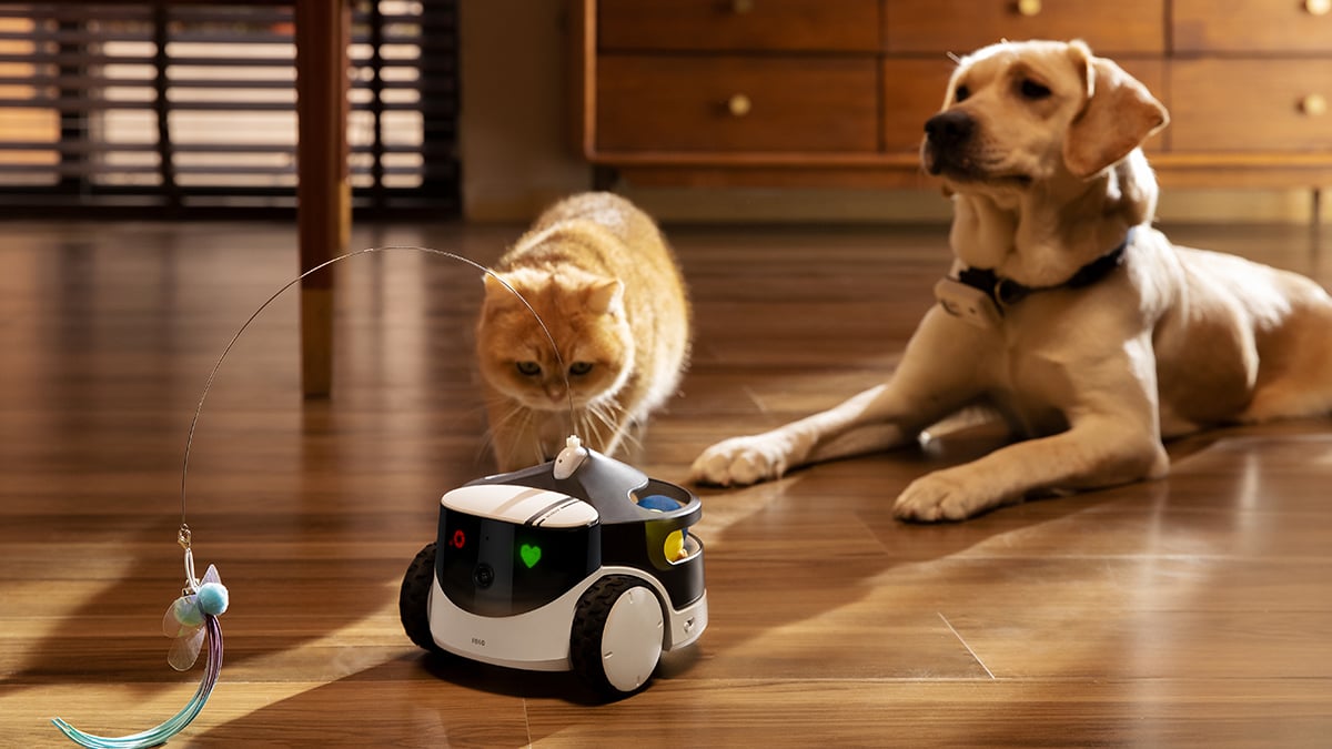 Enabot ra mắt robot camera chăm sóc thú cưng từ xa- Ảnh 1.