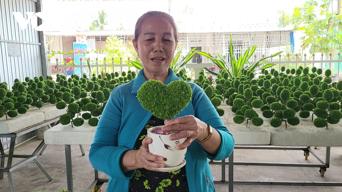 nguoi phu nu o hau giang 10 nam trong co lam canh tu hat thanh long hinh anh 7