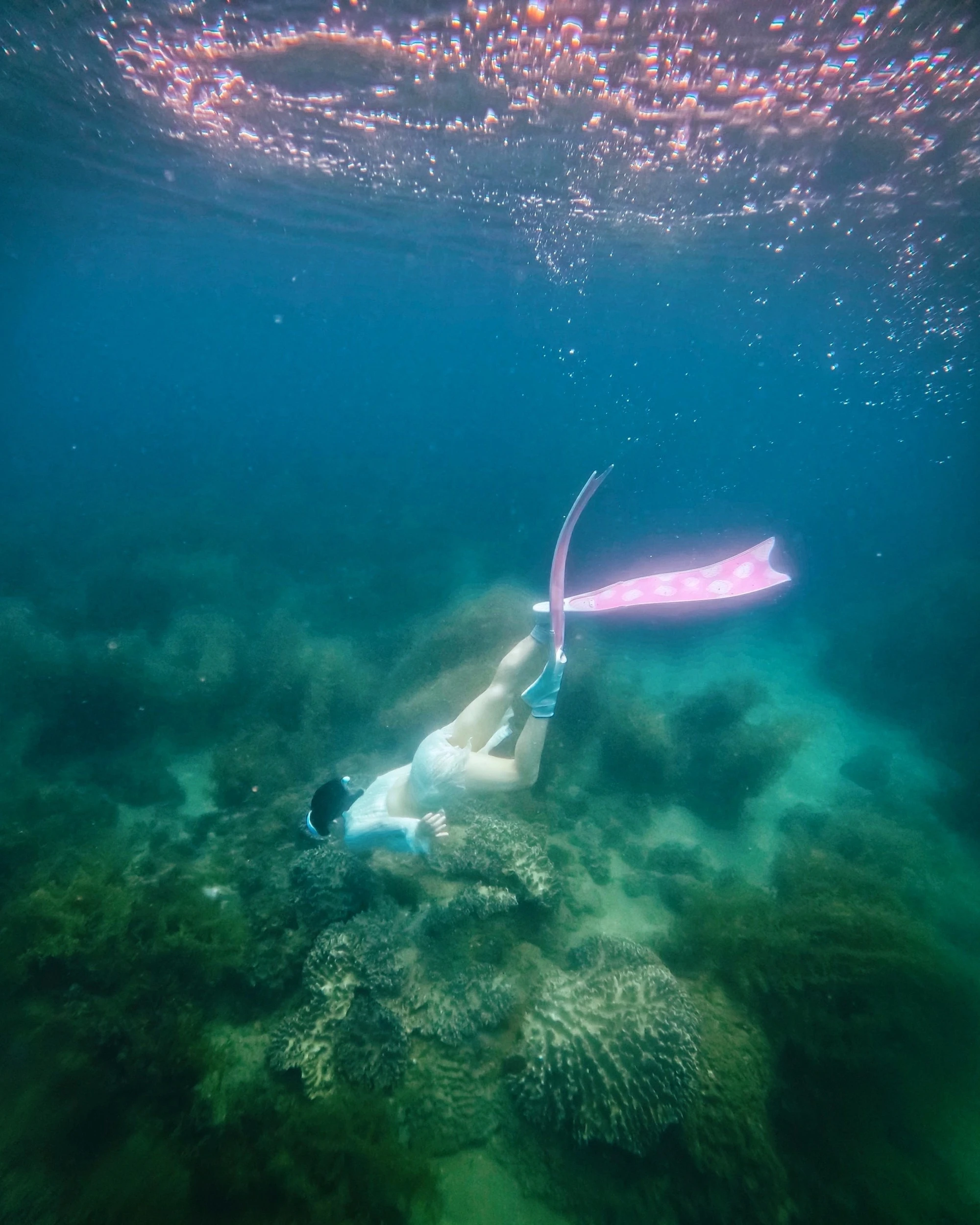 Explora el océano mágico con el turismo de buceo foto 8