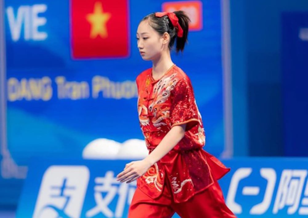 Vietnam won 5 gold medals at the world wushu championship