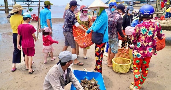 Le marché de la mer dans un quartier de Ben Tre se réunit juste au bord des vagues, vendant une variété de crevettes, de crabes, de poissons et d'escargots délicieux et uniques.