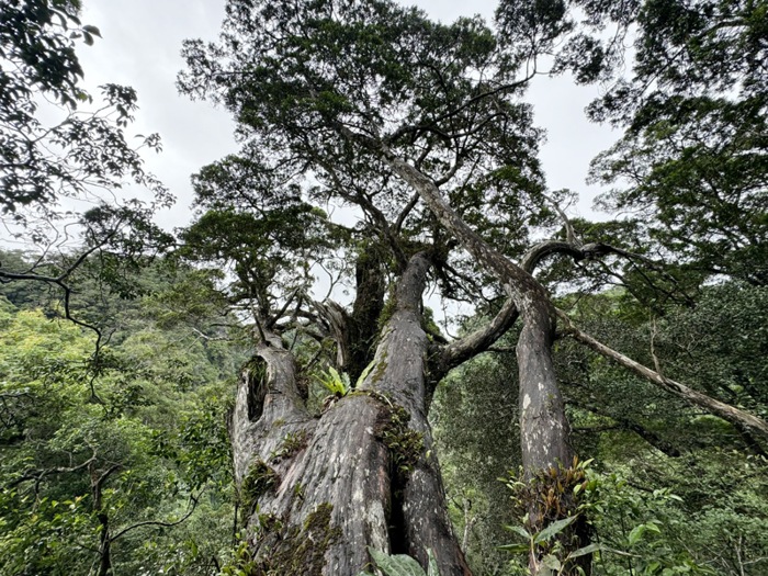 quang binh muon de cu phong nha  ke bang la khu du tru sinh quyen the gioi hinh 1