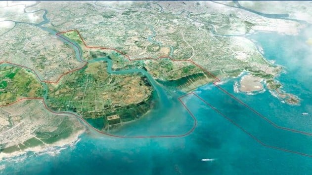 Establishing an international economic zone in Hai Phong photo 2