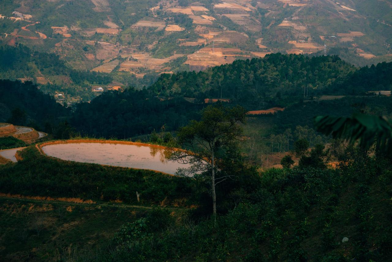 Trạm Tấu là một huyện nhỏ cách trung tâm TP Yên Bái 100km. Địa điểm này vô cùng thích hợp để du khách hòa mình với thiên nhiên, ngắm nhìn khung cảnh hoang sơ mà không kém phần yên bình, thơ mộng. 