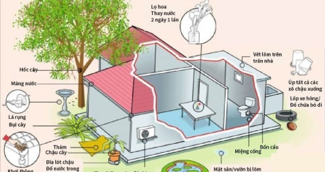 Huit mesures pour prévenir la dengue pendant la saison des pluies