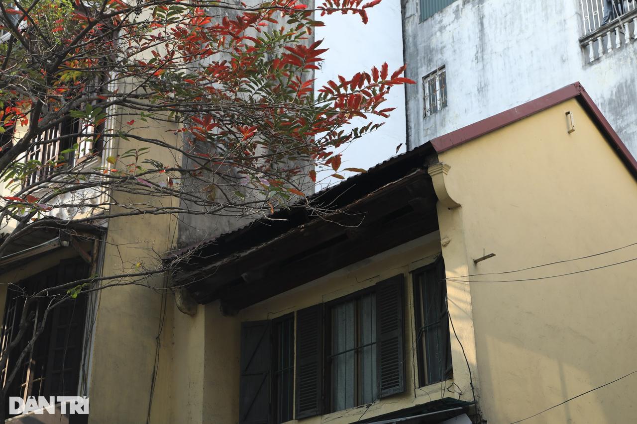 Những góc phố đẹp lạ trong mùa cây lá đỏ ở Hà Nội - 9