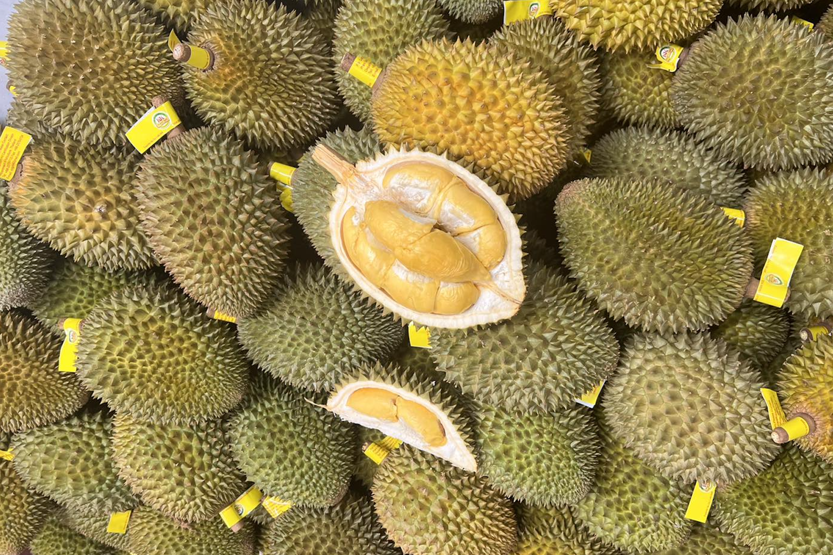 Thailand aims to earn 27 billion USD, warns about Vietnamese durian