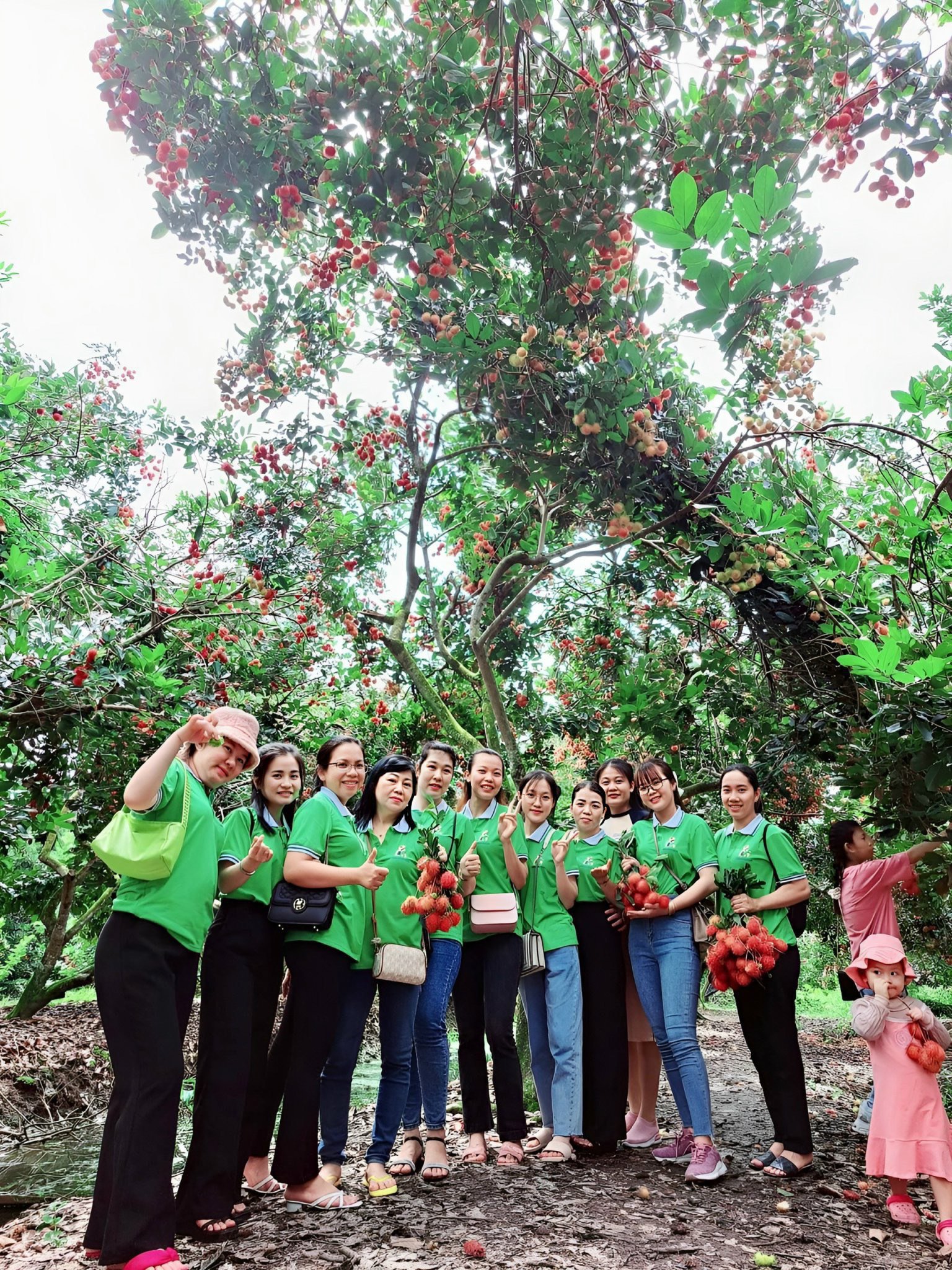 Những vườn trái cây trĩu cành sẵn sàng phục vụ khách tham quan khi về Ngả Bảy - Ảnh: HIỆP VÕ