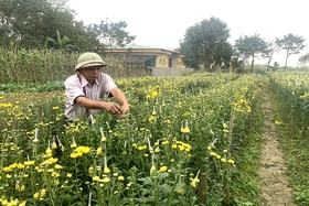 Hỗ trợ nông dân vay vốn