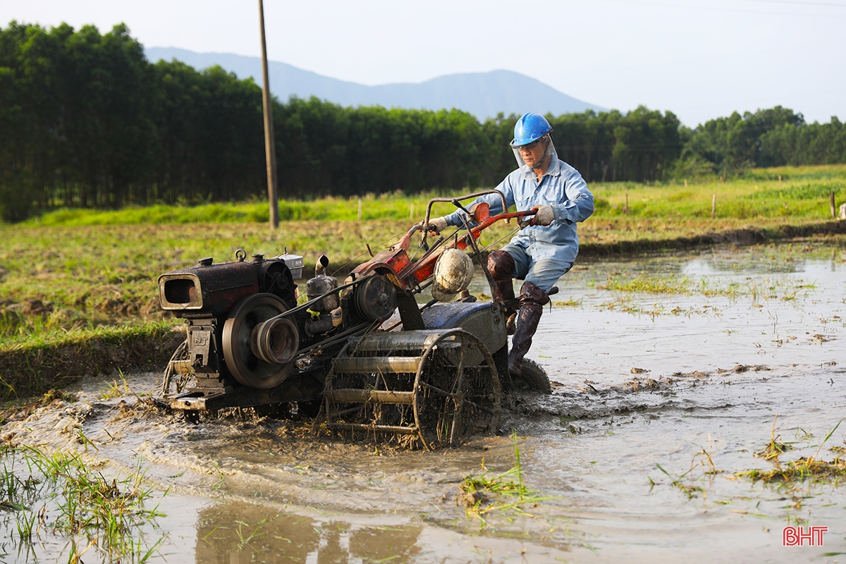 Ha Tinh farmers race against summer-autumn planting schedule