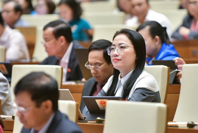 Delegierte der Nationalversammlung in der Dien Hong Hall, 22. November. Foto: National Assembly Media