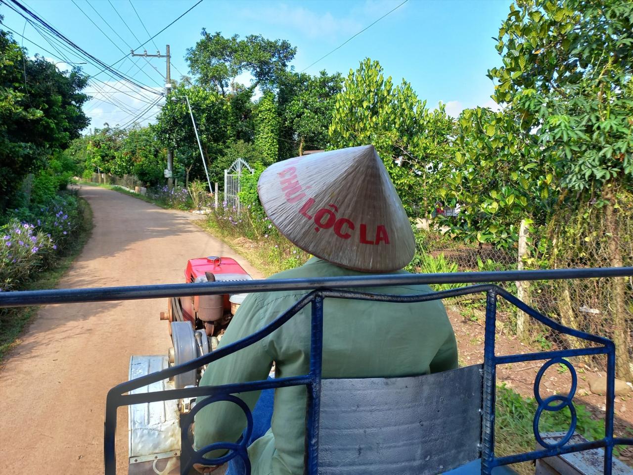 At the tourist site of Chu Loc La garden, the atmosphere is also bustling with preparation. Mr. Tran Van Loc, owner of the tourist site of Chu Loc La garden, said that this year's fruit season, he has partnered with more than 20 gardeners in the area to serve tourists. To increase diversity and attract tourists, and this is also a direction for exploiting year-round tourism, he has invested in an additional 