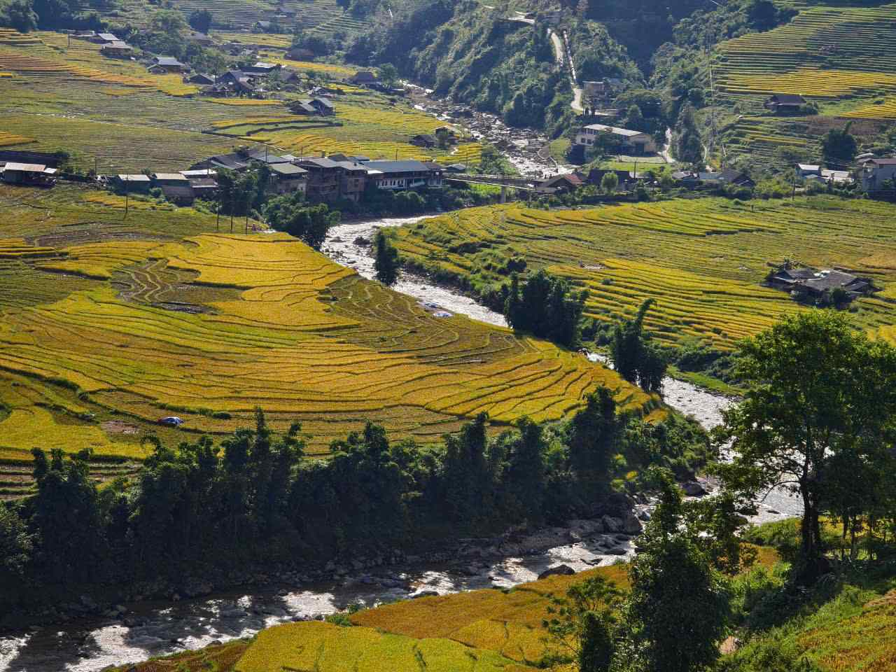 Mùa lúa chín Sa Pa rất đẹp và yên bình. Không náo nhiệt, ồn ào như khu vực trung tâm thành phố, những nương, rẫy vàng ươm ở Sa Pa đem đến cho du khách bức tranh mùa vàng ấm no, với tiếng suối róc rách, chim hót líu lo và tiếng trò chuyện vui vẻ của bà con đi gặt sớm. 