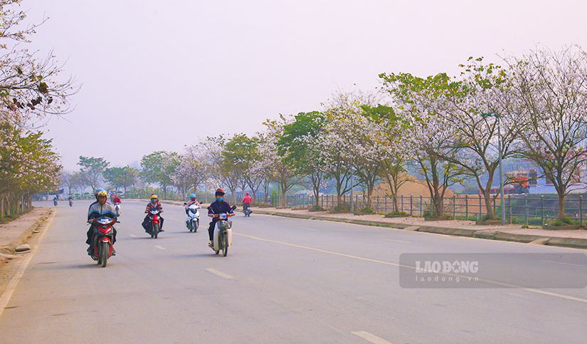 Especially in March, the Ban Flower Festival will take place in conjunction with the opening event of the National Tourism Year 2024, so the number of tourists to Dien Bien will skyrocket.