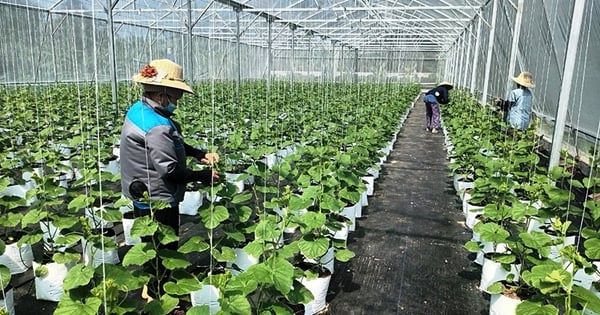 Fomentando la transformación digital en la agricultura