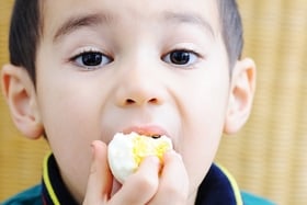 Los huevos son deliciosos y nutritivos, pero ¿cuántos huevos deben comer los niños cada día?