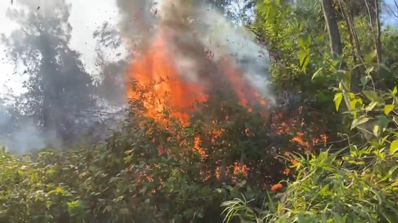 Schauplatz des Waldbrandes