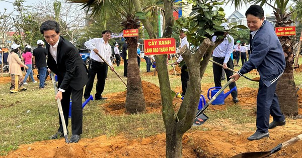 Verdissement de nouveaux quartiers résidentiels dans le nord-ouest de Da Nang