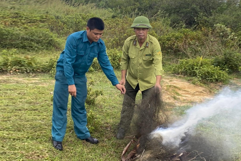 អាជ្ញាធរ​ក្រុង Mong Cai បន្ត​កម្ទេច​អន្ទាក់​ចាប់​សត្វ​ស្លាប​ព្រៃ។