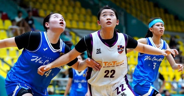 Vietnam Talent Development Fund awards scholarships to basketball athletes