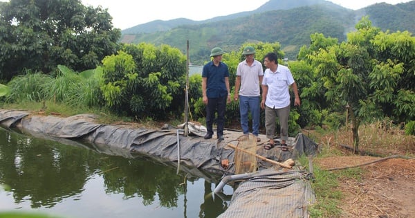 L'agriculteur vietnamien exceptionnel 2024 de Son La demande de soutien pour la construction d'infrastructures de transformation agricole