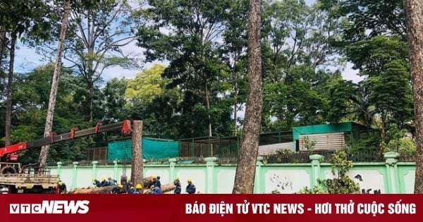 Ho Chi Minh City must cut down more than 400 trees to build Metro Line 2.