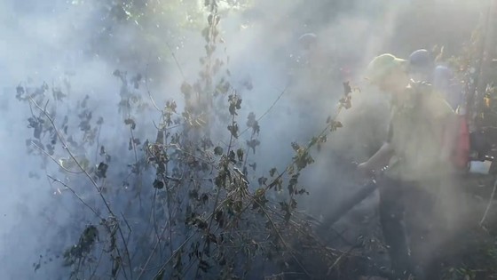 Hunderte von Menschen mobilisierten sich, um Waldbrände in Ha Tinh zu löschen. Foto 8