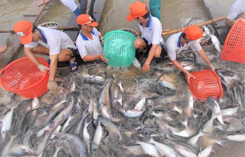 Xuất khẩu ngày 15-19/5: Gạo được giá, doanh nghiệp vẫn than lỗ; hai tuần tháng 4, xuất khẩu mang về 15 tỷ USD cho Việt Nam