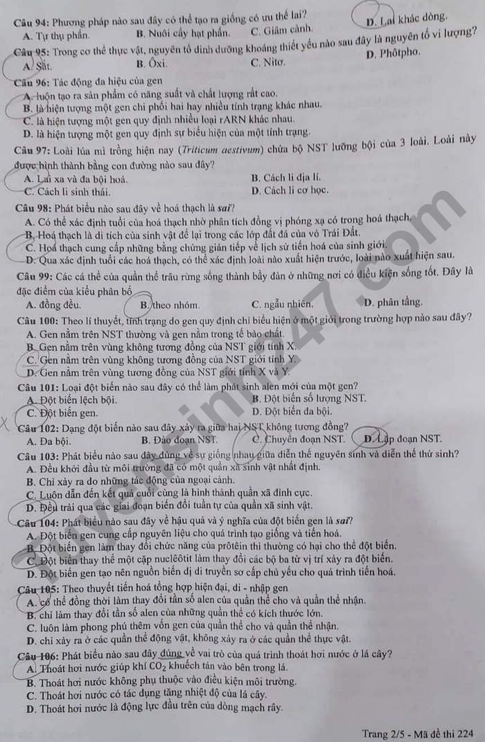 Đề thi môn Sinh học tốt nghiệp THPT 3 năm gần đây có đáp án tất cả mã đề- Ảnh 9.