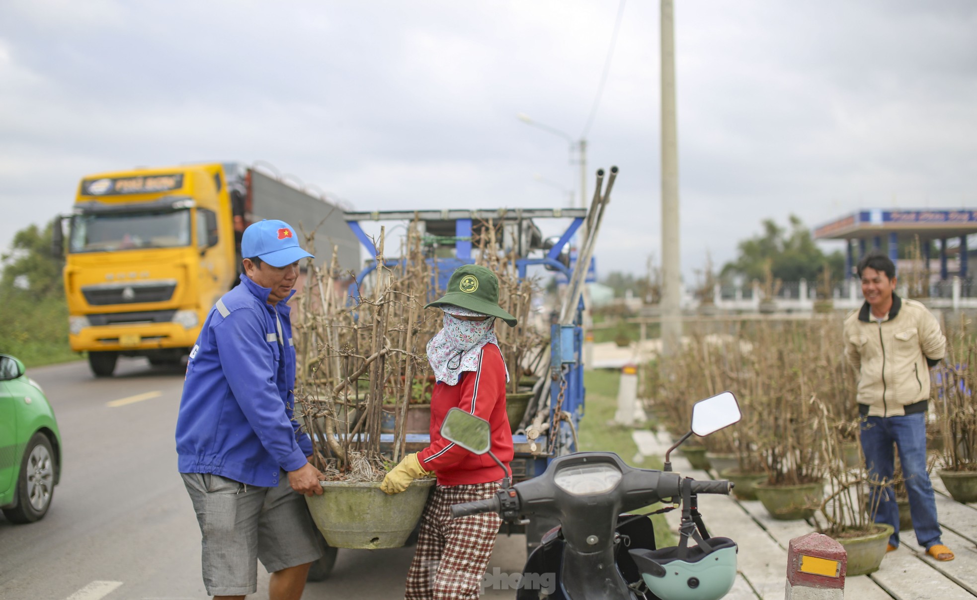 Gardeners are busy setting up stalls and putting mai flowers on the street to 'keep' customers, photo 3