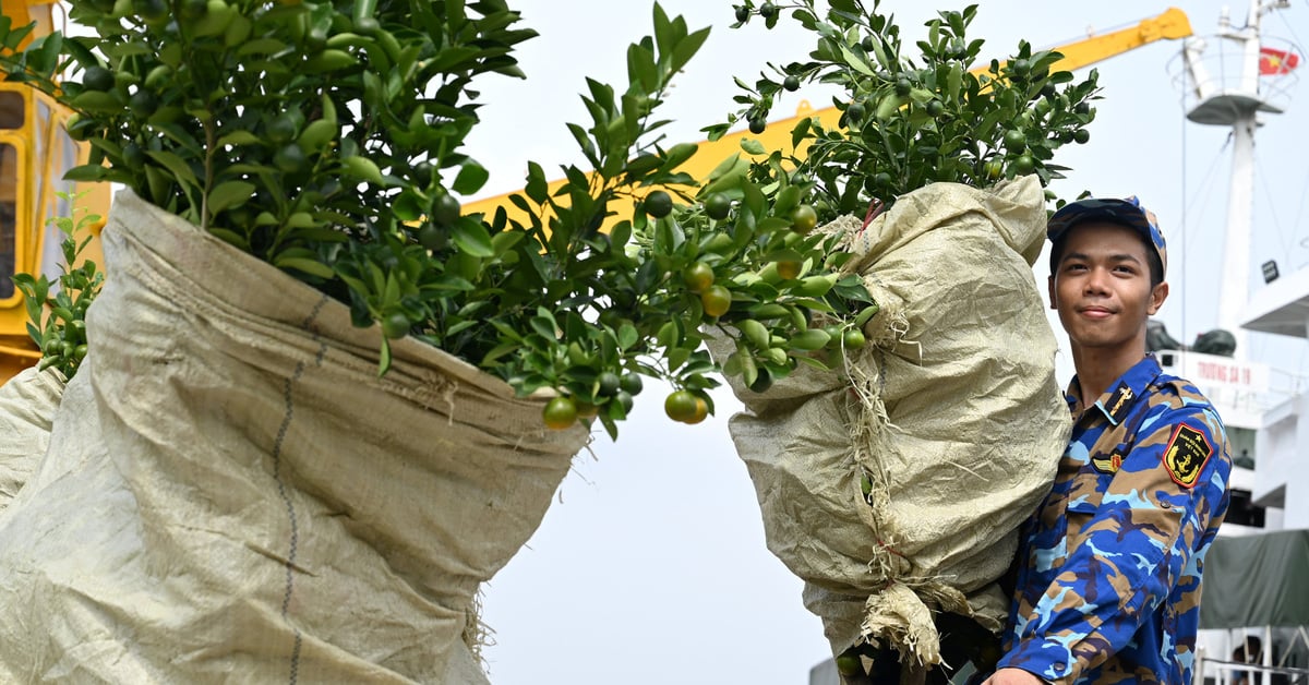 Fragrant Tet gifts, overcoming big waves to reach soldiers on distant islands