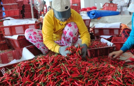 Which Vietnamese agricultural products are warned in the EU?