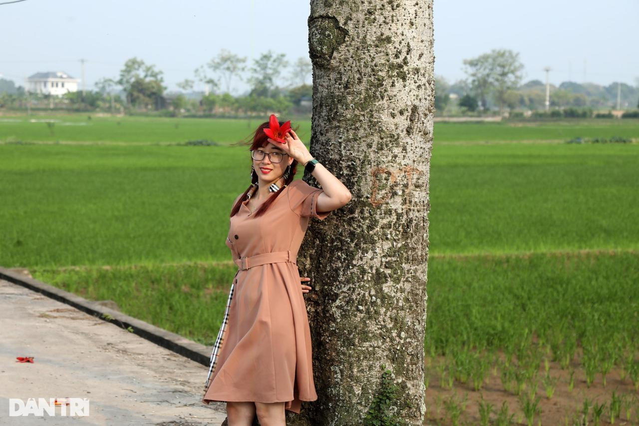 Hoa gạo nở đỏ rực từ nông thôn đến thành phố - 3